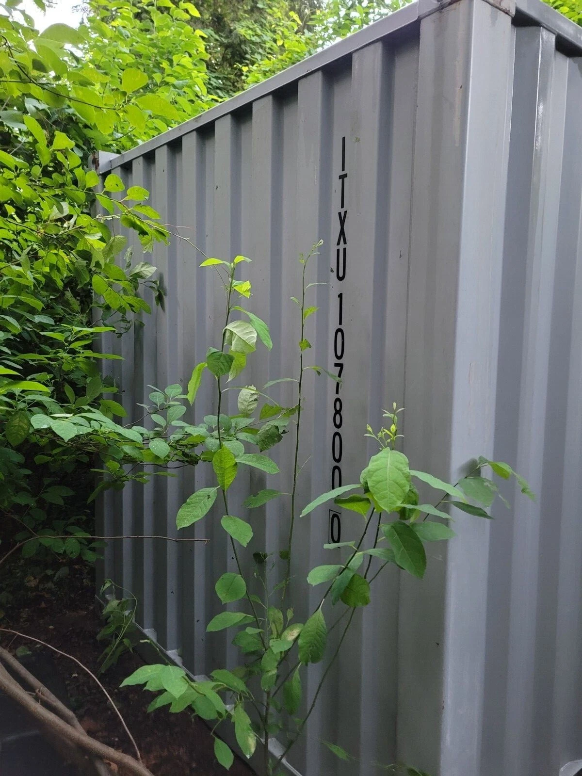 20ft stalen zeecontainer/opslagcontainer - Afbeelding 3